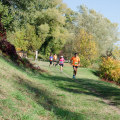 Run Wild: Discovering The Best Trail Runs In Fort Worth
