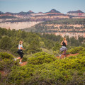 Safety Tips for Trail Running in Fort Worth, Texas