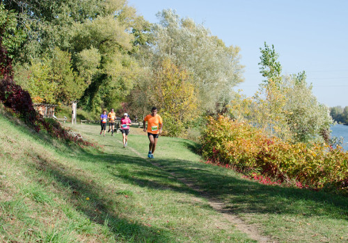 Run Wild: Discovering The Best Trail Runs In Fort Worth