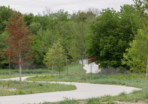8 Amazing Trails for a Solo Run in Fort Worth, Texas